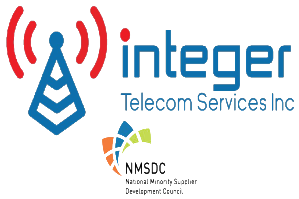 Integer Telecom Services logo